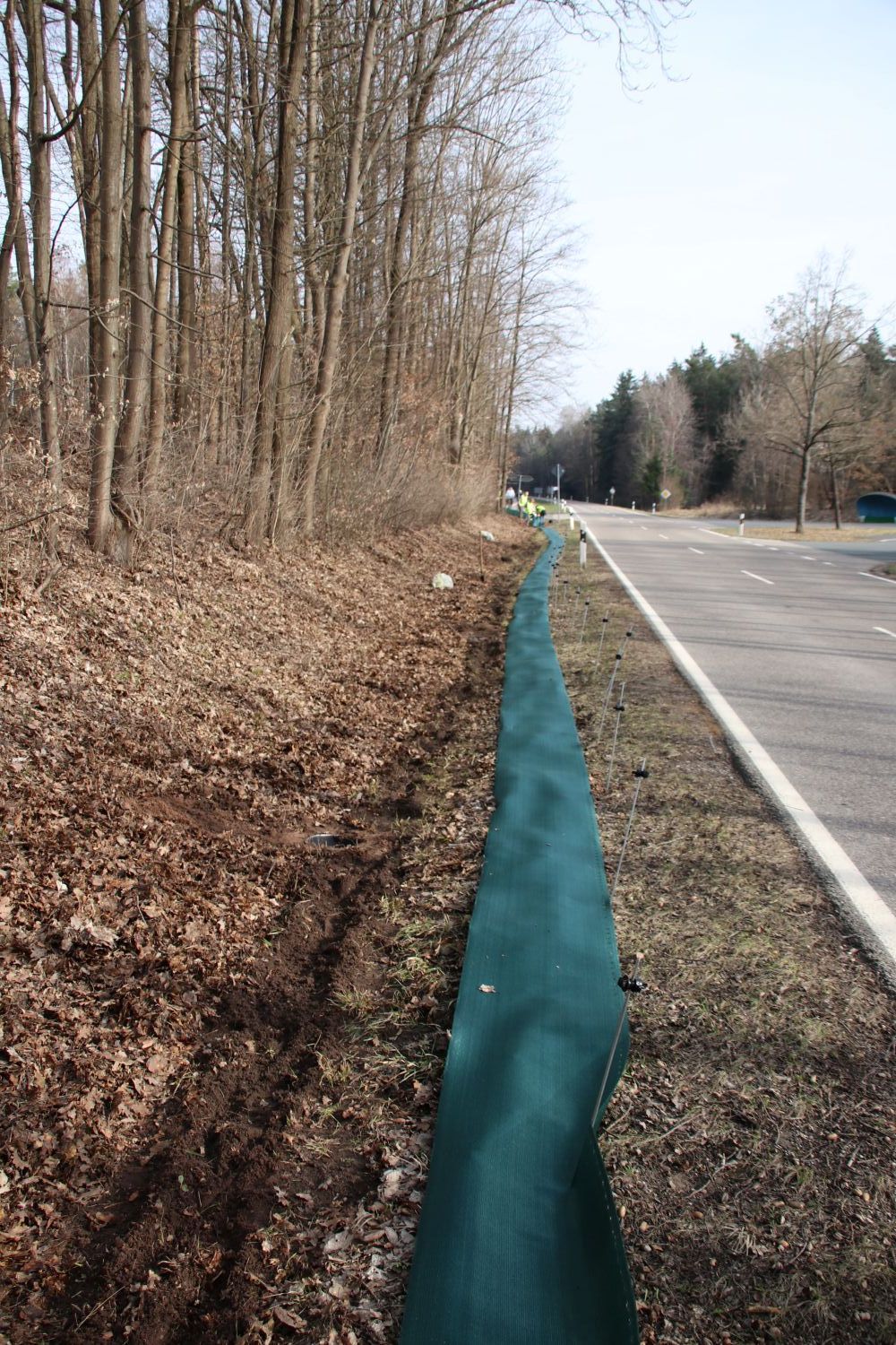 Amphibienzaun Birnthon