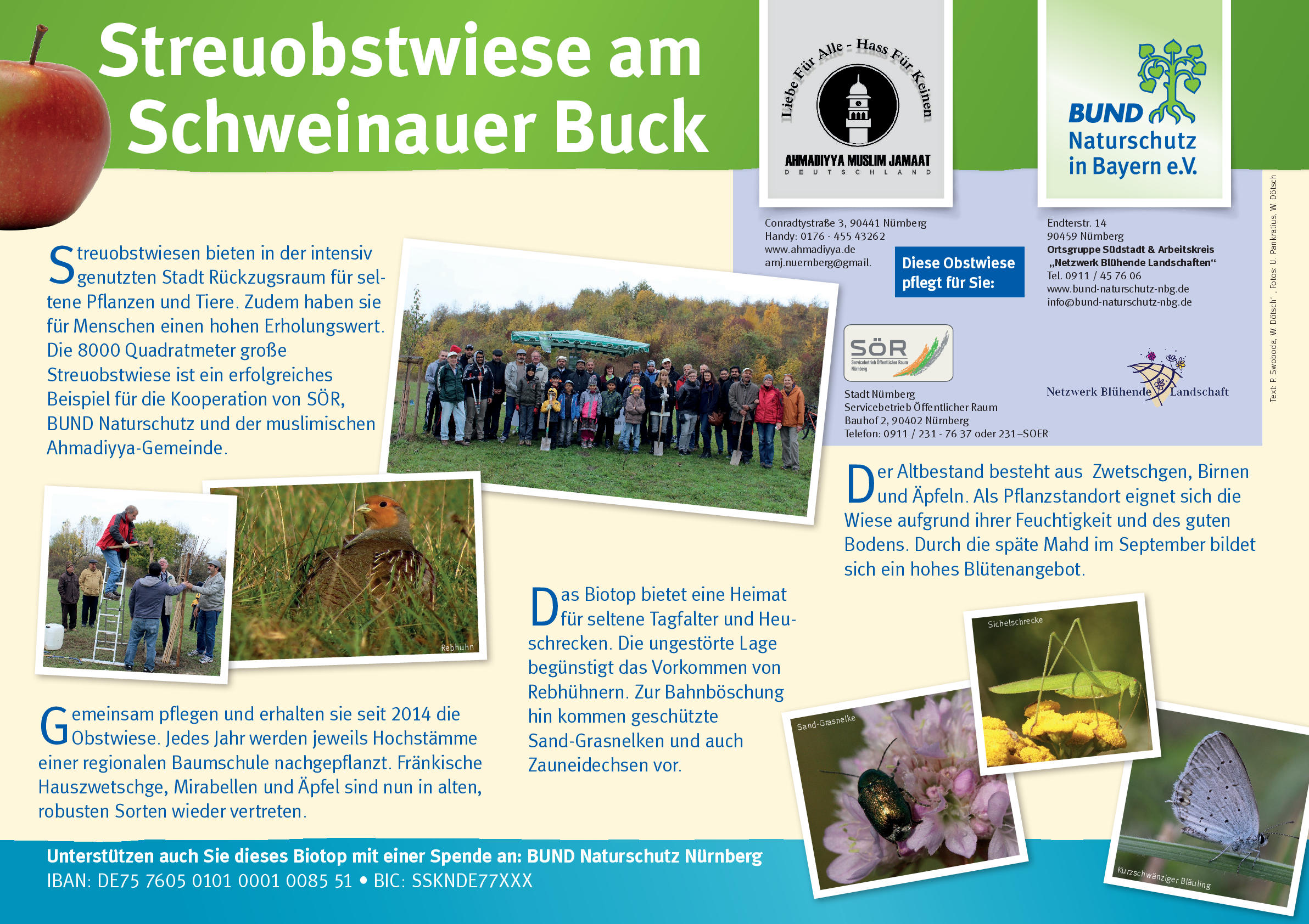 Schautafel am Schweinauer Buck Schautafel am Schweinauer Buck