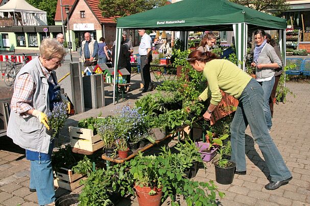Pflanzentauschbörse