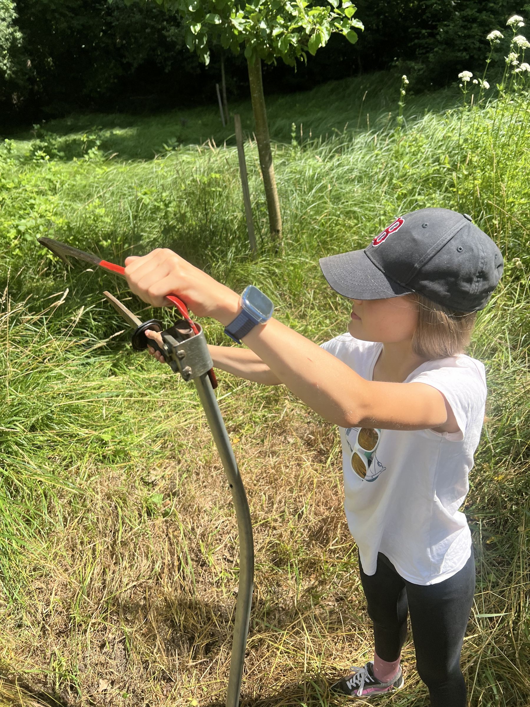 Sensenmähkurs in Reutles