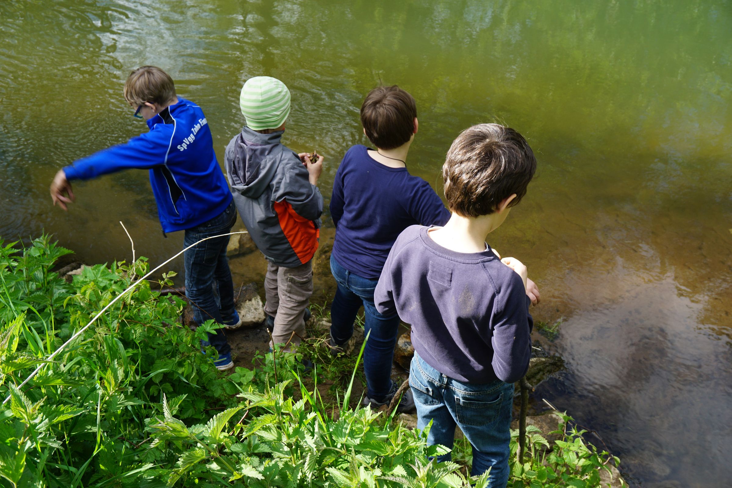 Pegnitzluchse Spielen am Fluss