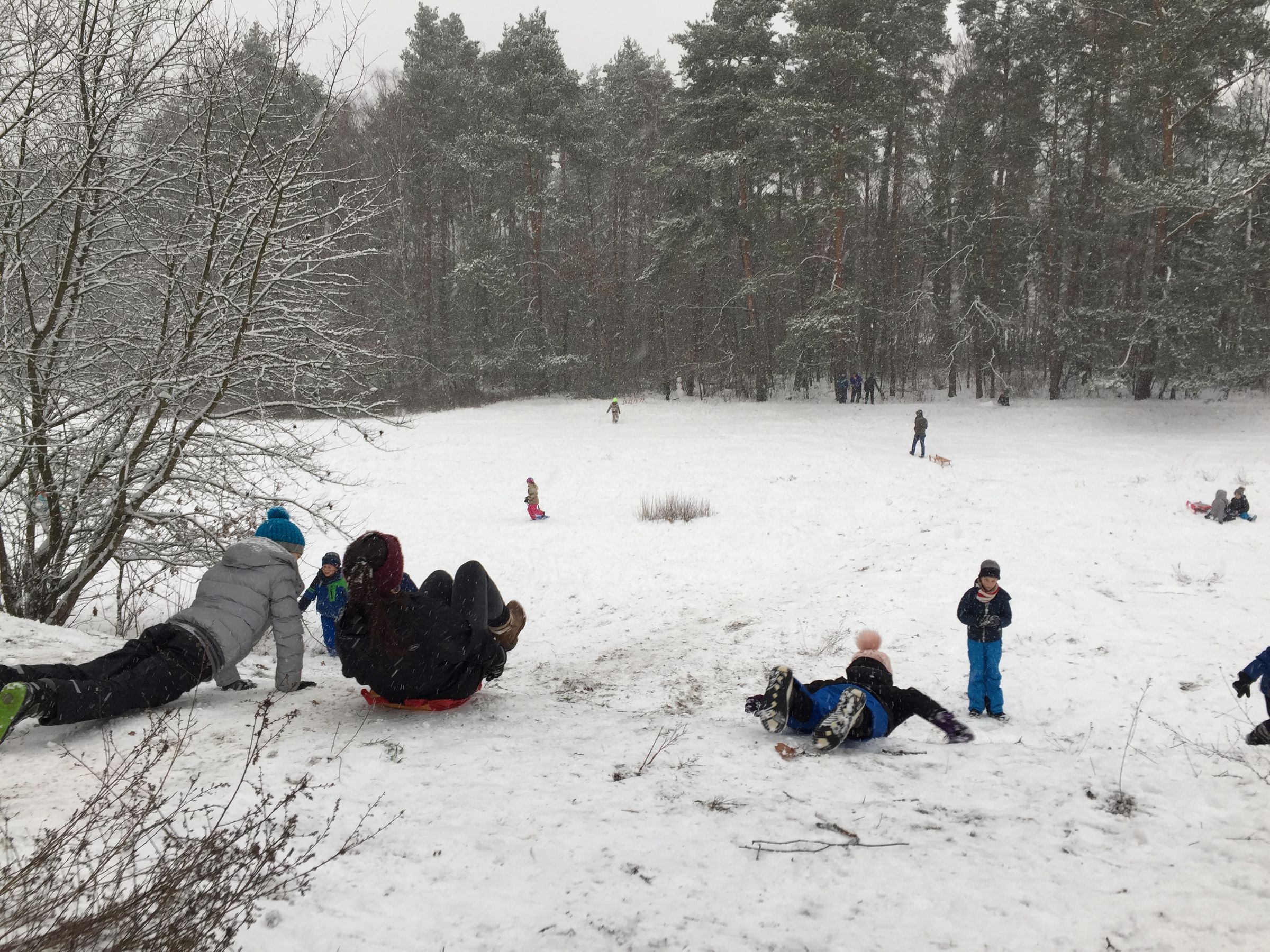 Kindergruppe Pegnitzluchse