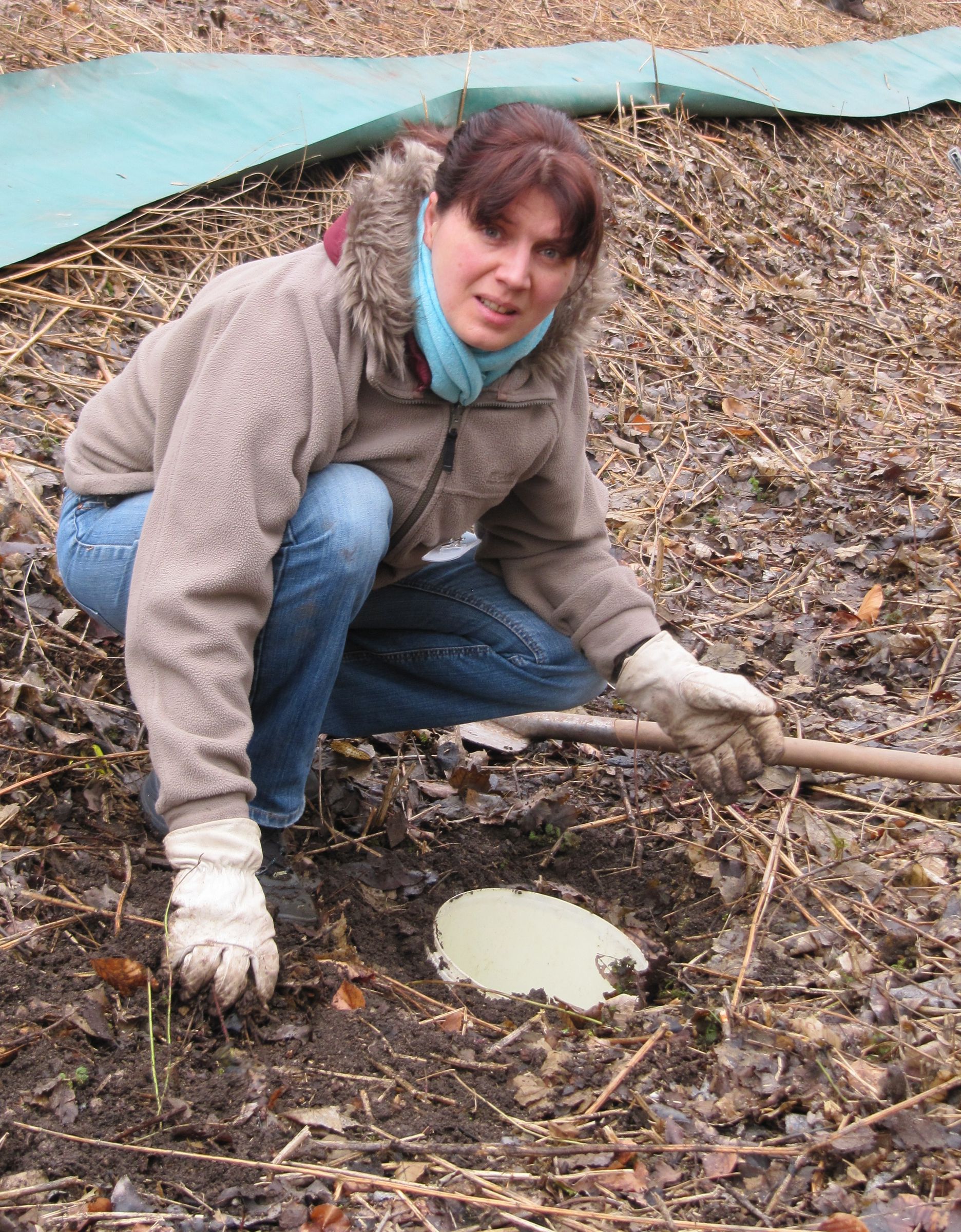 Aufbau des Krötenzauns am Dutzendteich