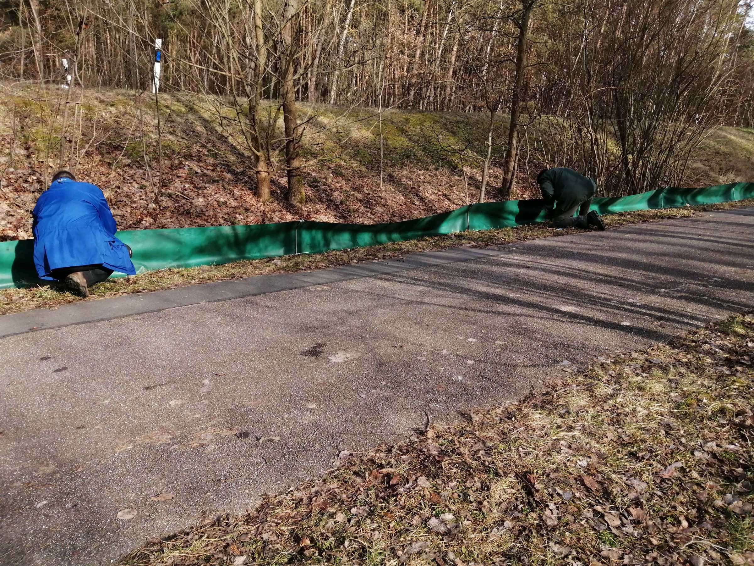 Aufbau des Schutzzauns Aufbau des Schutzzauns