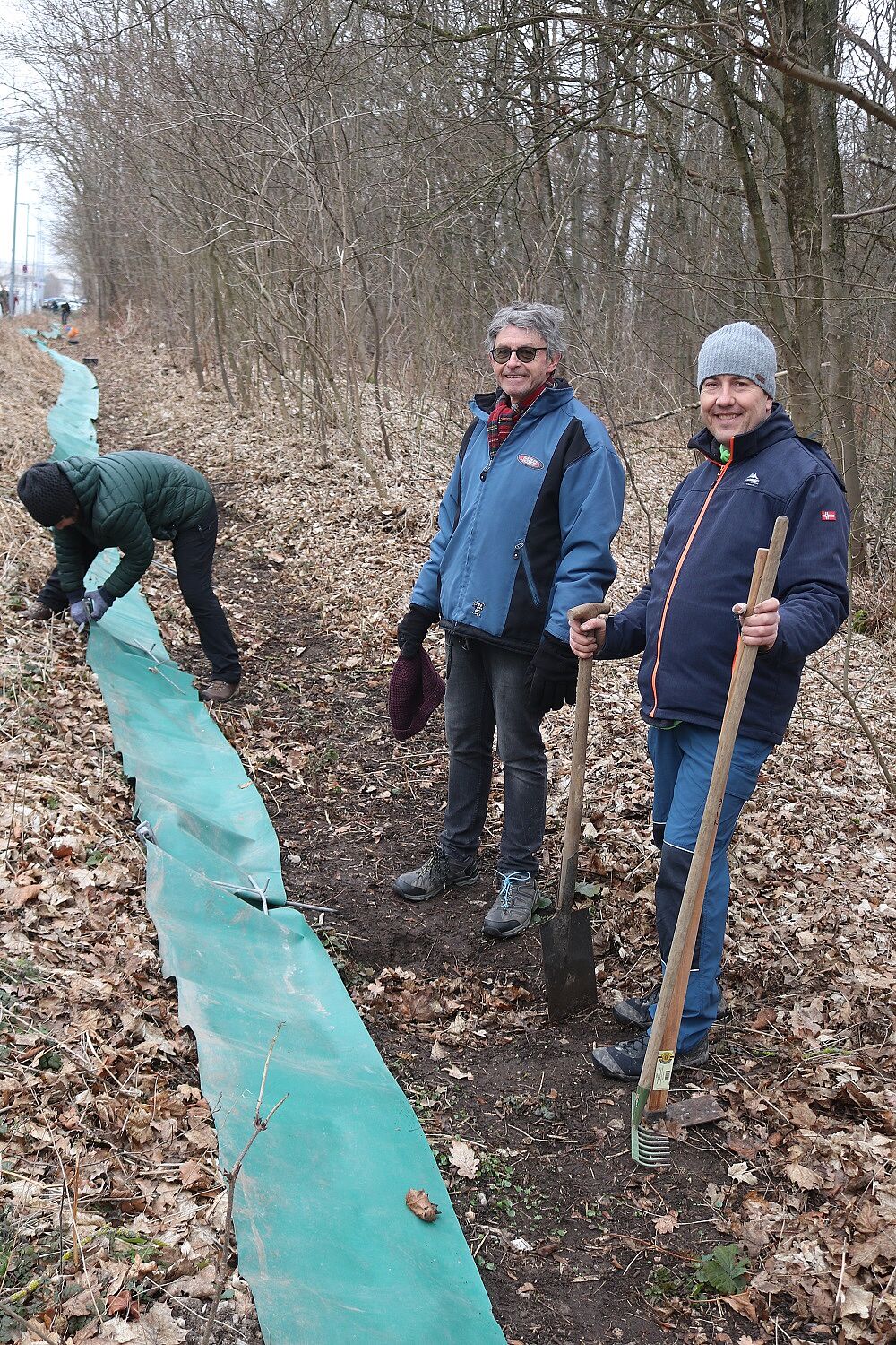 Aufbau des Amphibienschutzzauns