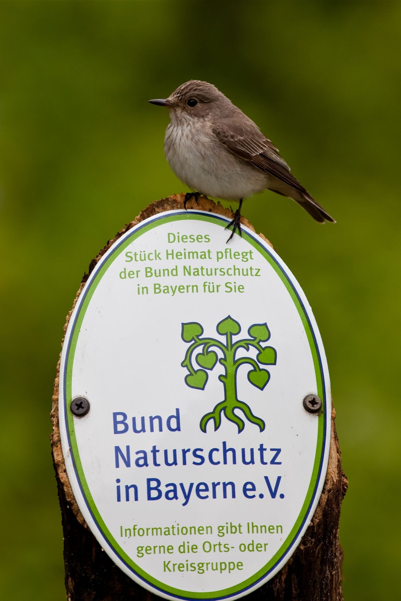 BN-Logo mit Vogel