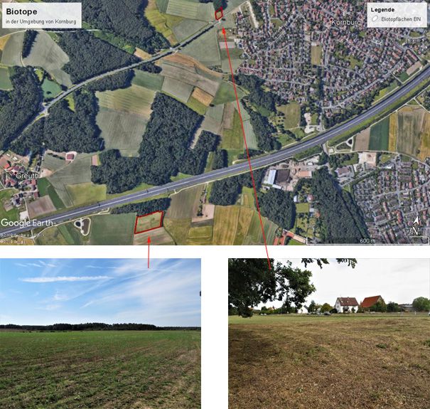 BN-Biotopflächen in Kornburg BN-Biotopflächen in Kornburg