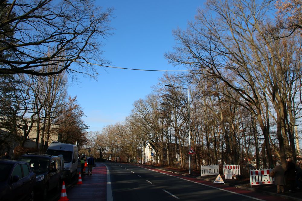 fertige Eichhörnchenbrücke