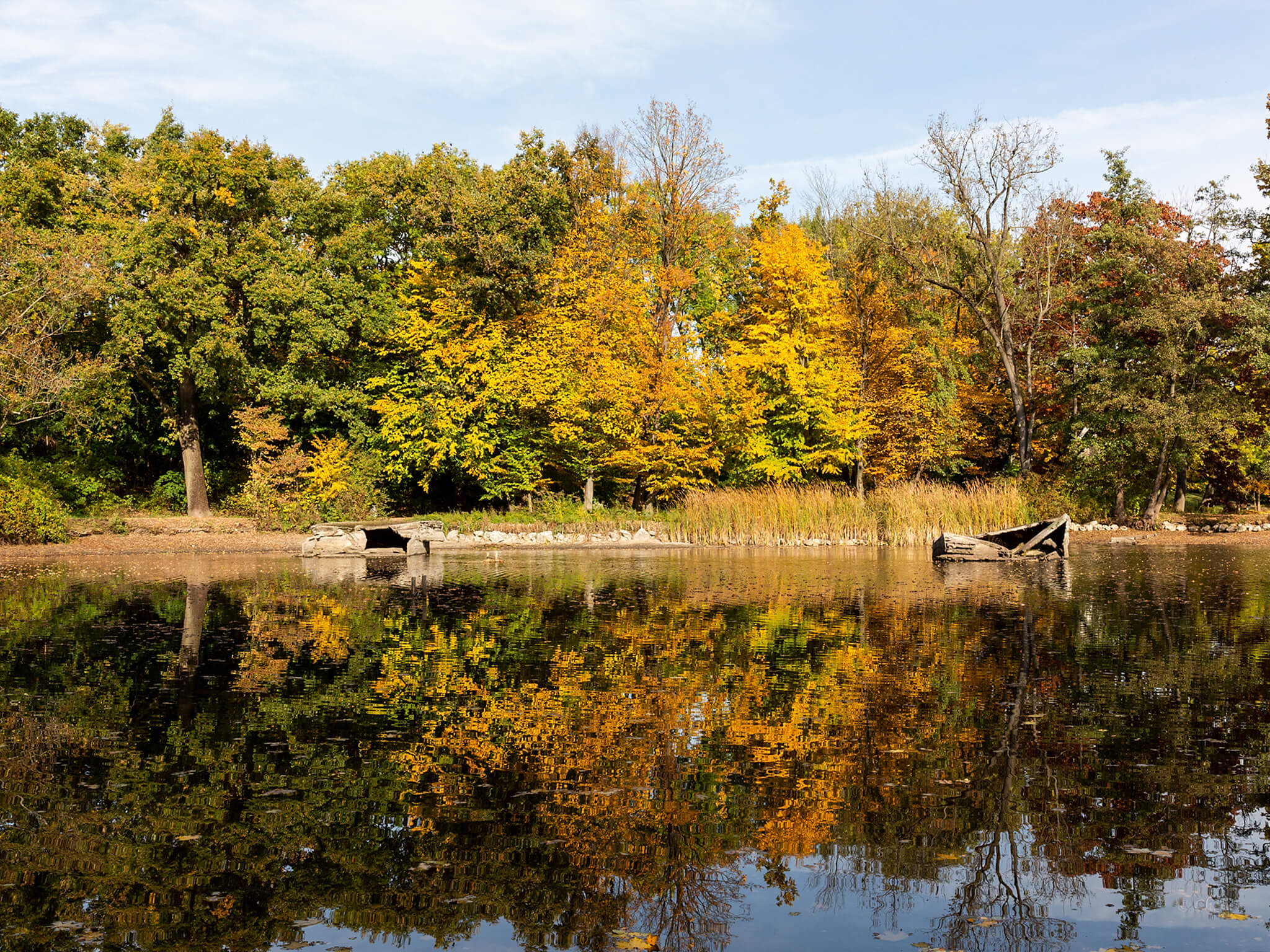 Herbst am Dutzendteich