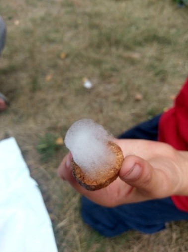 Experiment mit der Natur