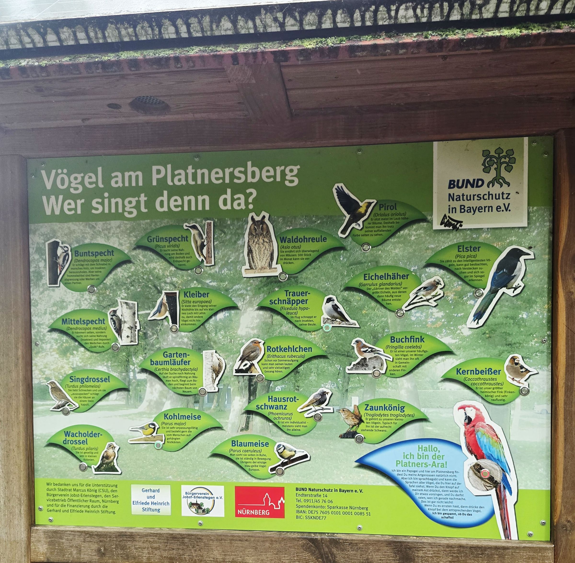 Vogelstimmentafel im Platnersbergpark