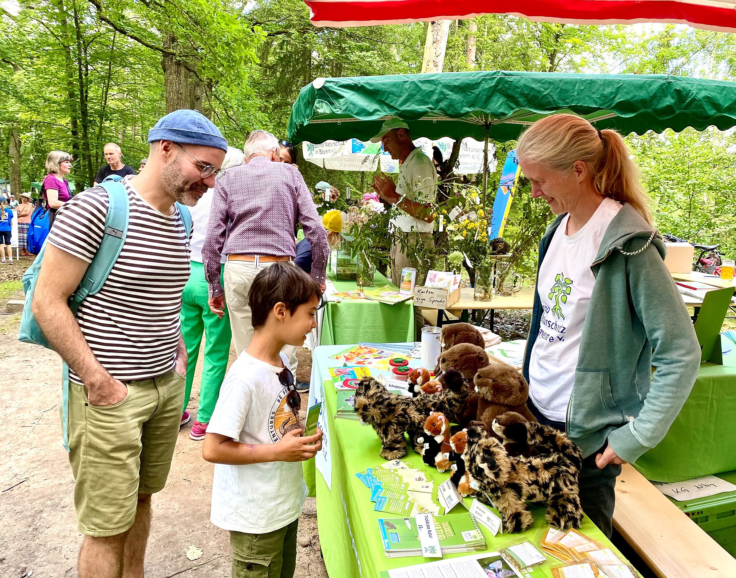 Die Kuscheltiere stoßen auf Interesse