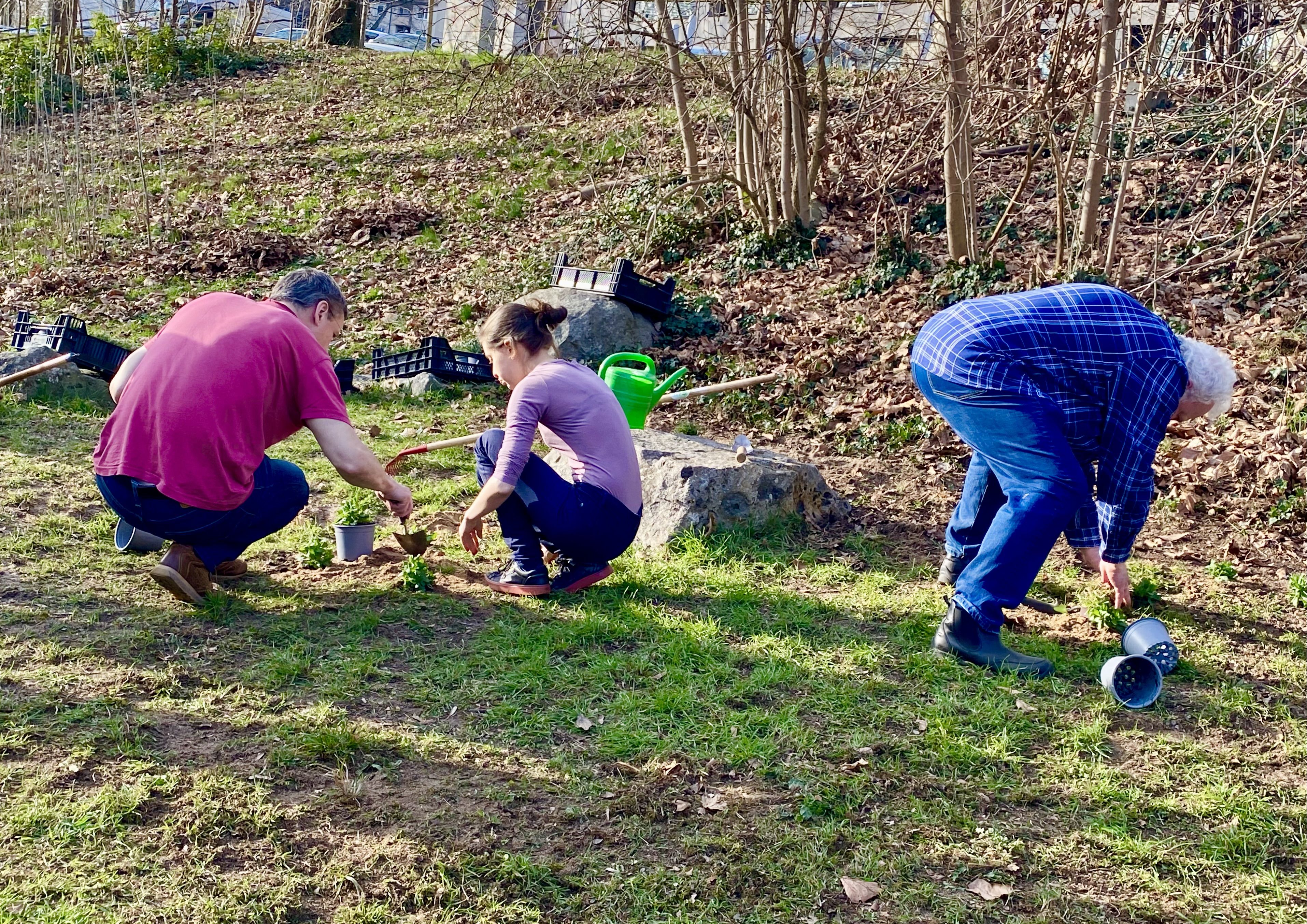 Wöhrder Wiese Sandterrasse (Foto: Hiltrud Gödelmann) Wöhrder Wiese Sandterrasse
