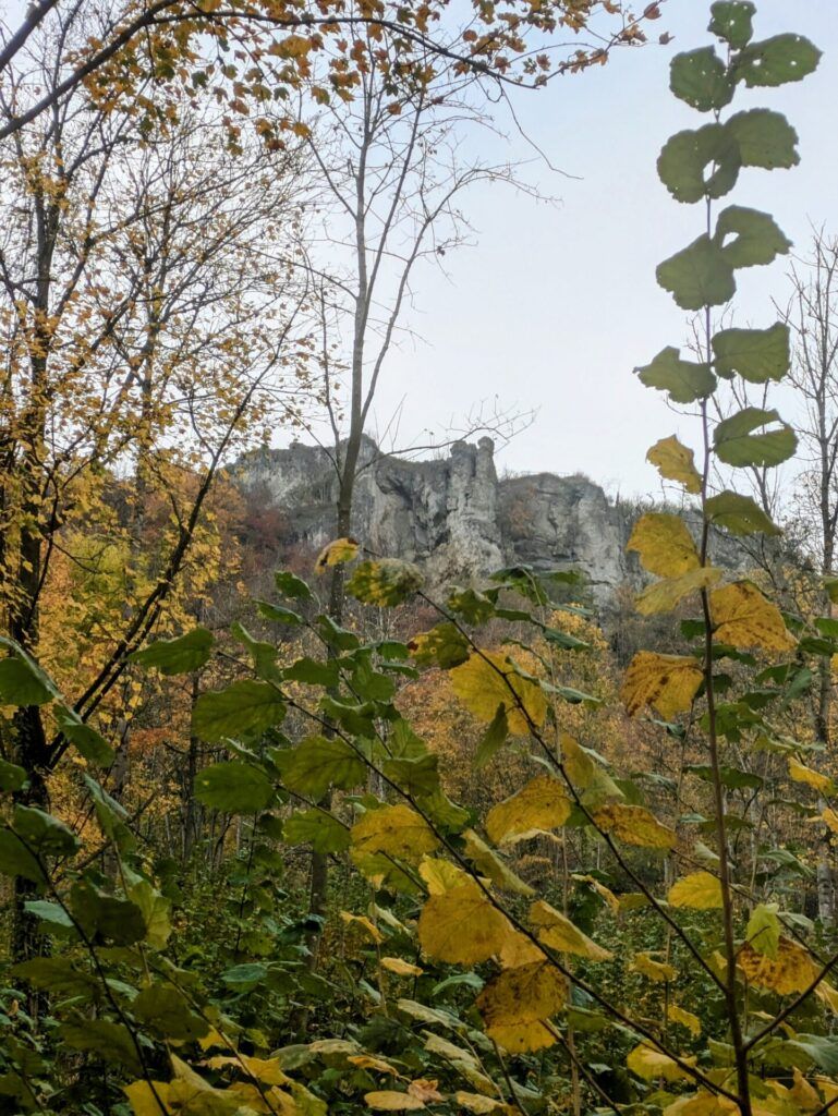 Dolomitfelsen am Walberla