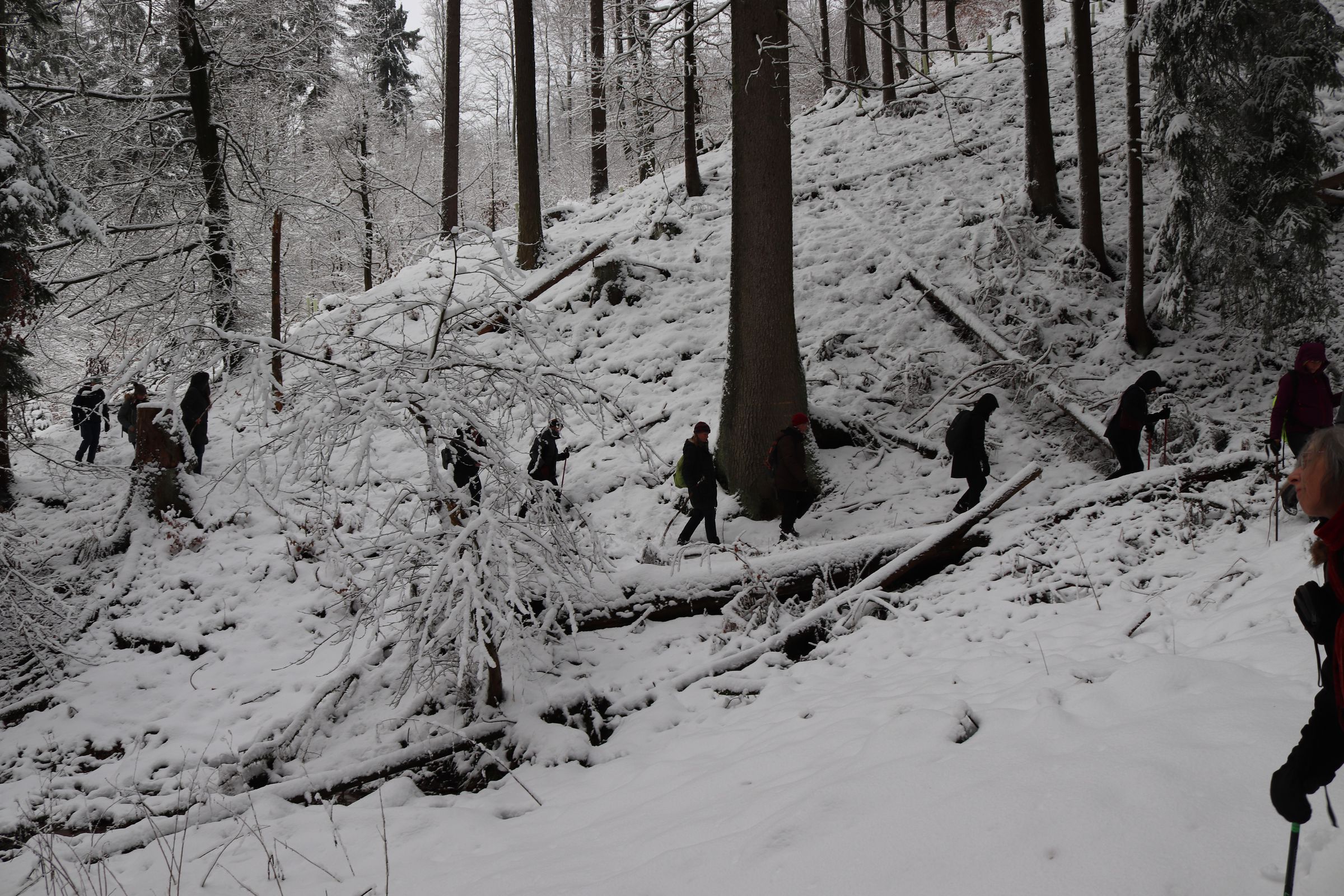 Winterwanderung zum Moritzberg