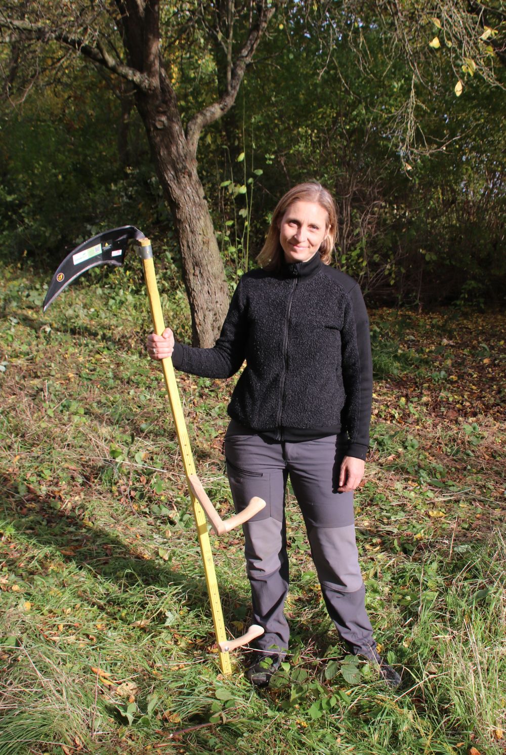 Pflege der Obstwiese Kleingründlach mit Siemens Healthineers
