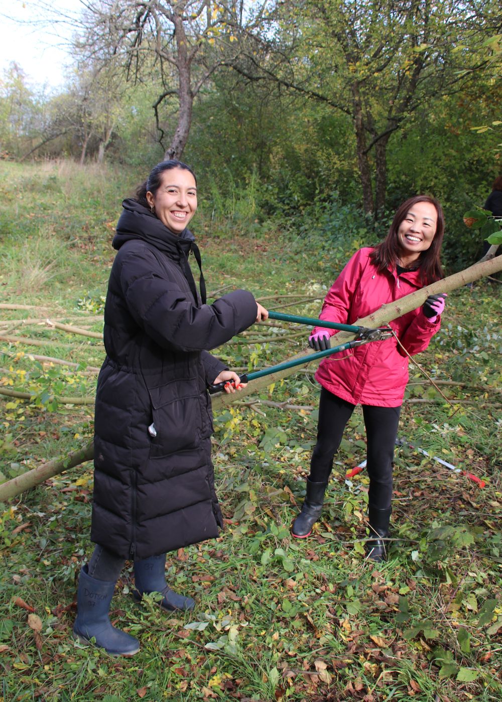 Pflege der Obstwiese Kleingründlach mit Siemens Healthineers