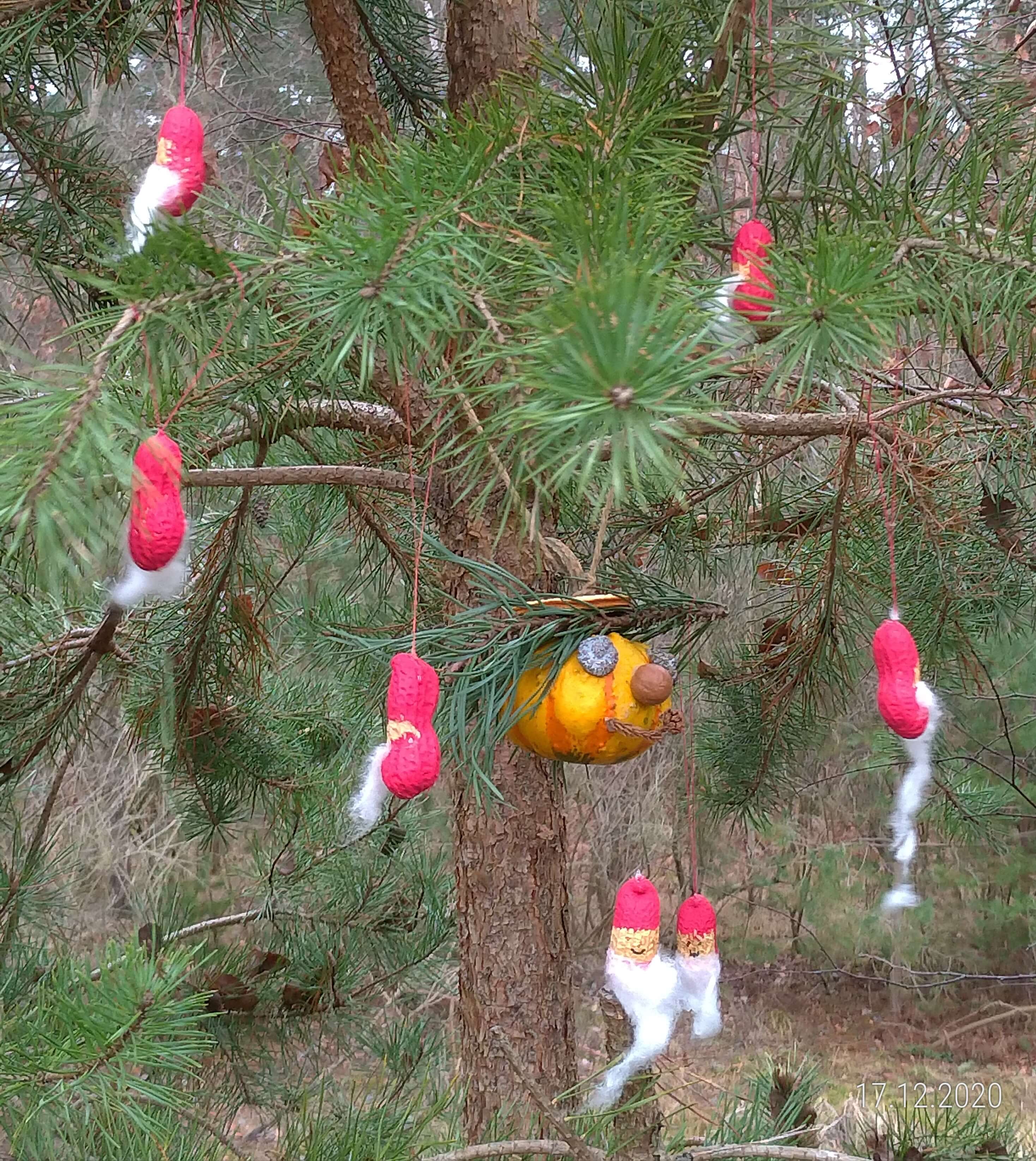 Der Baumbesetzer und die 7 Zwerge aus Feucht wollen keinen Baum verlieren