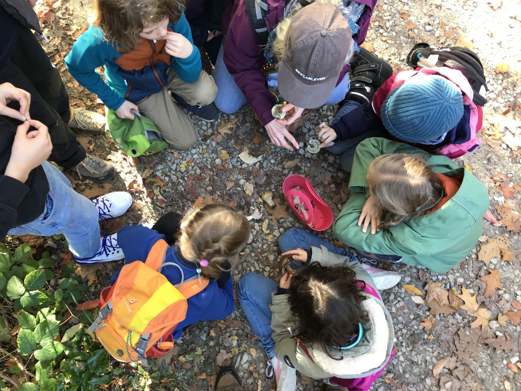 Kinder betrachten Pilze