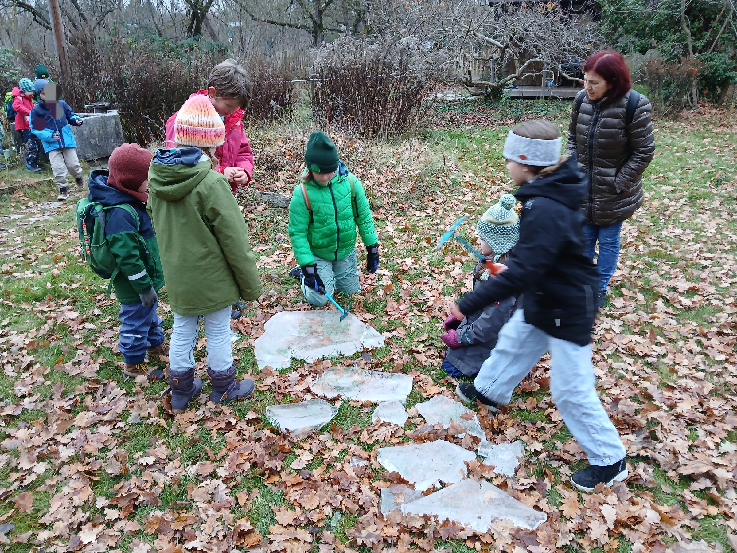 Eisplatten untersuchen (Foto: Bruce Roberts) Eisplatten untersuchen