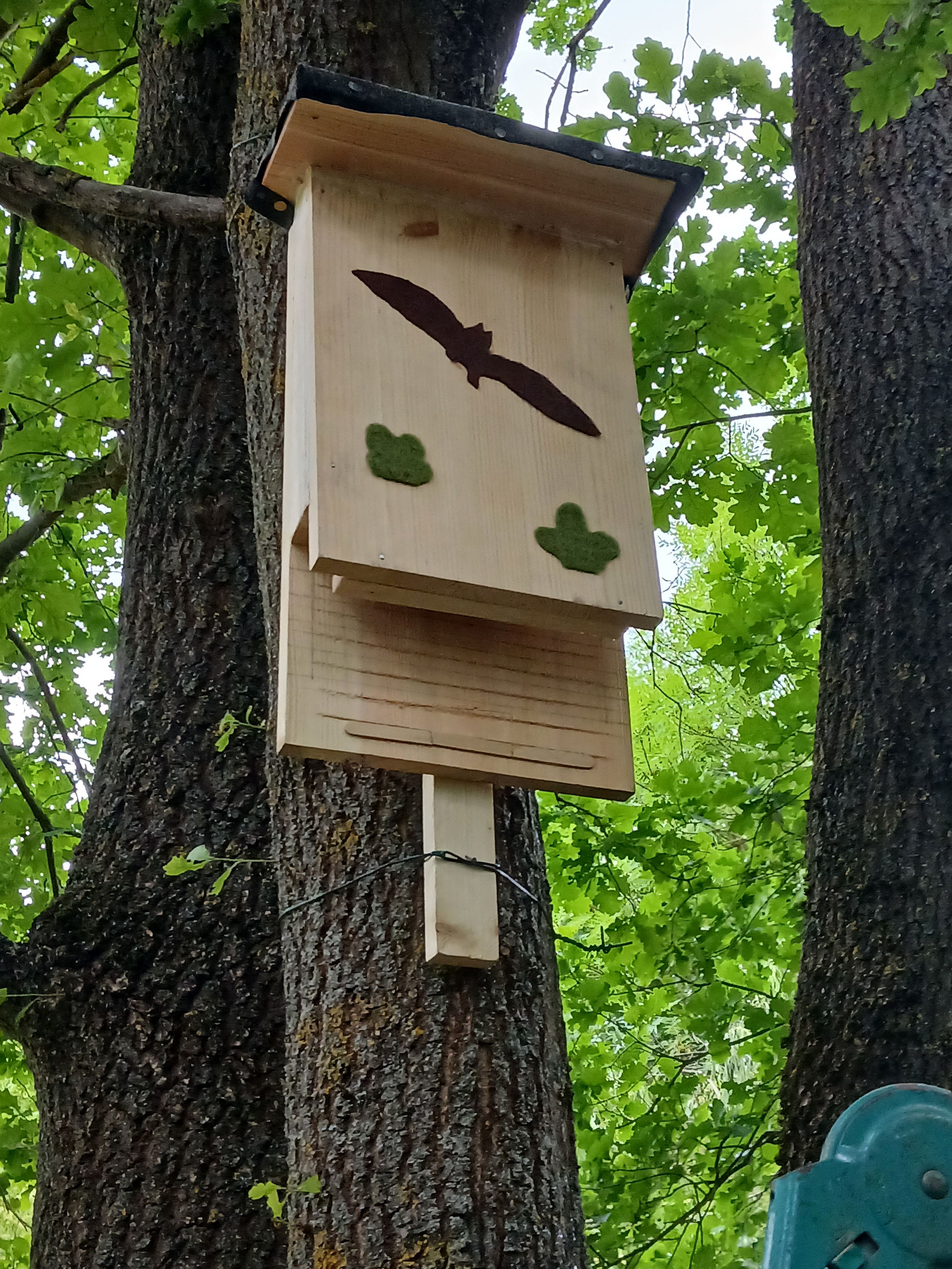 Fledermauskasten am Baum