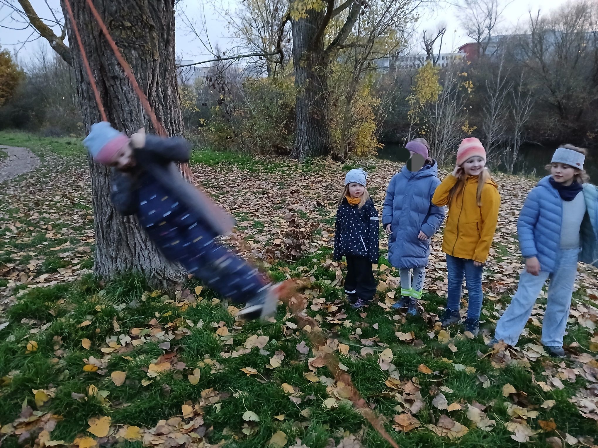 Schaukel (Foto: Bruce Roberts) Schaukel