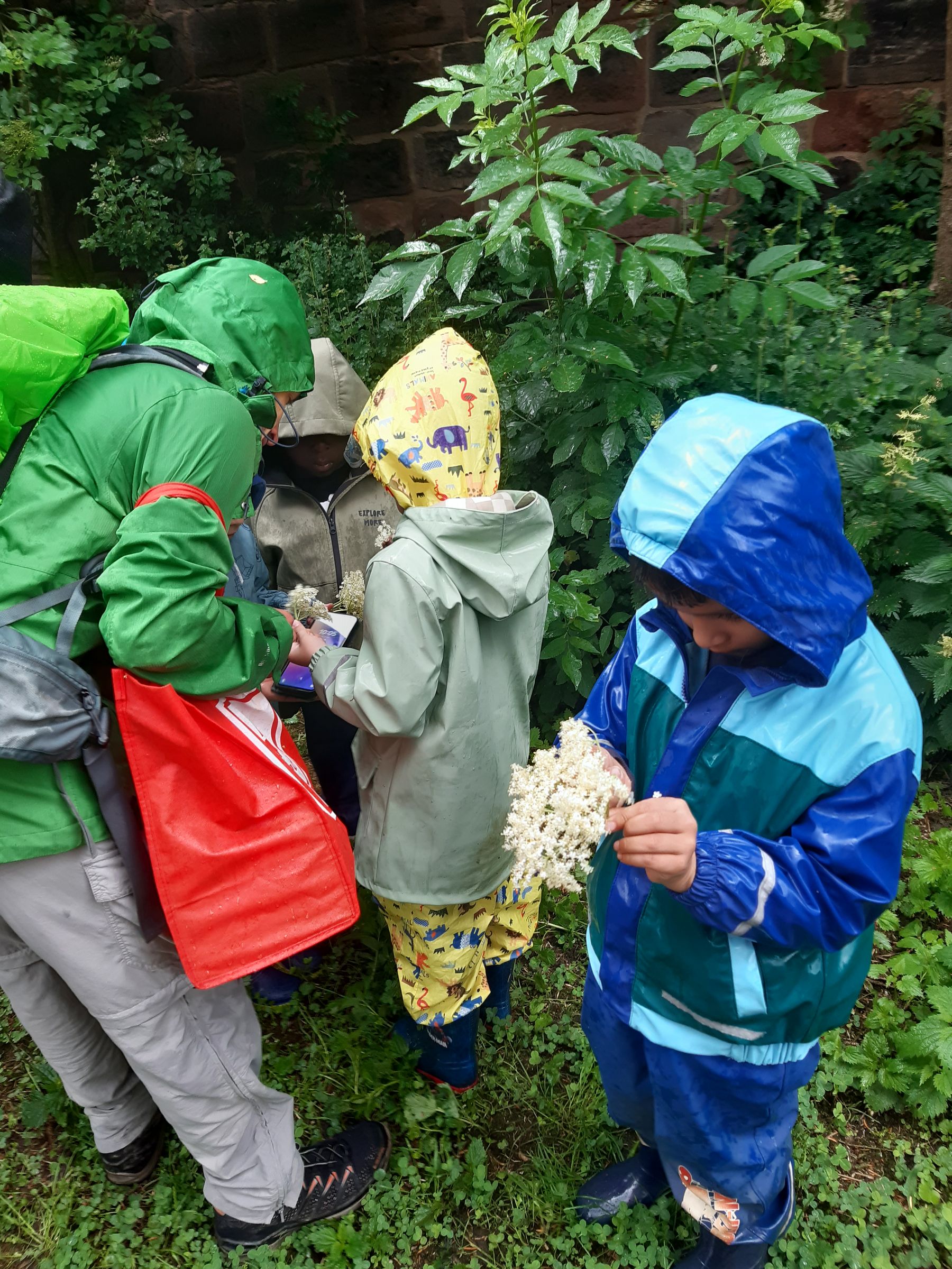 Gartenprojekt
