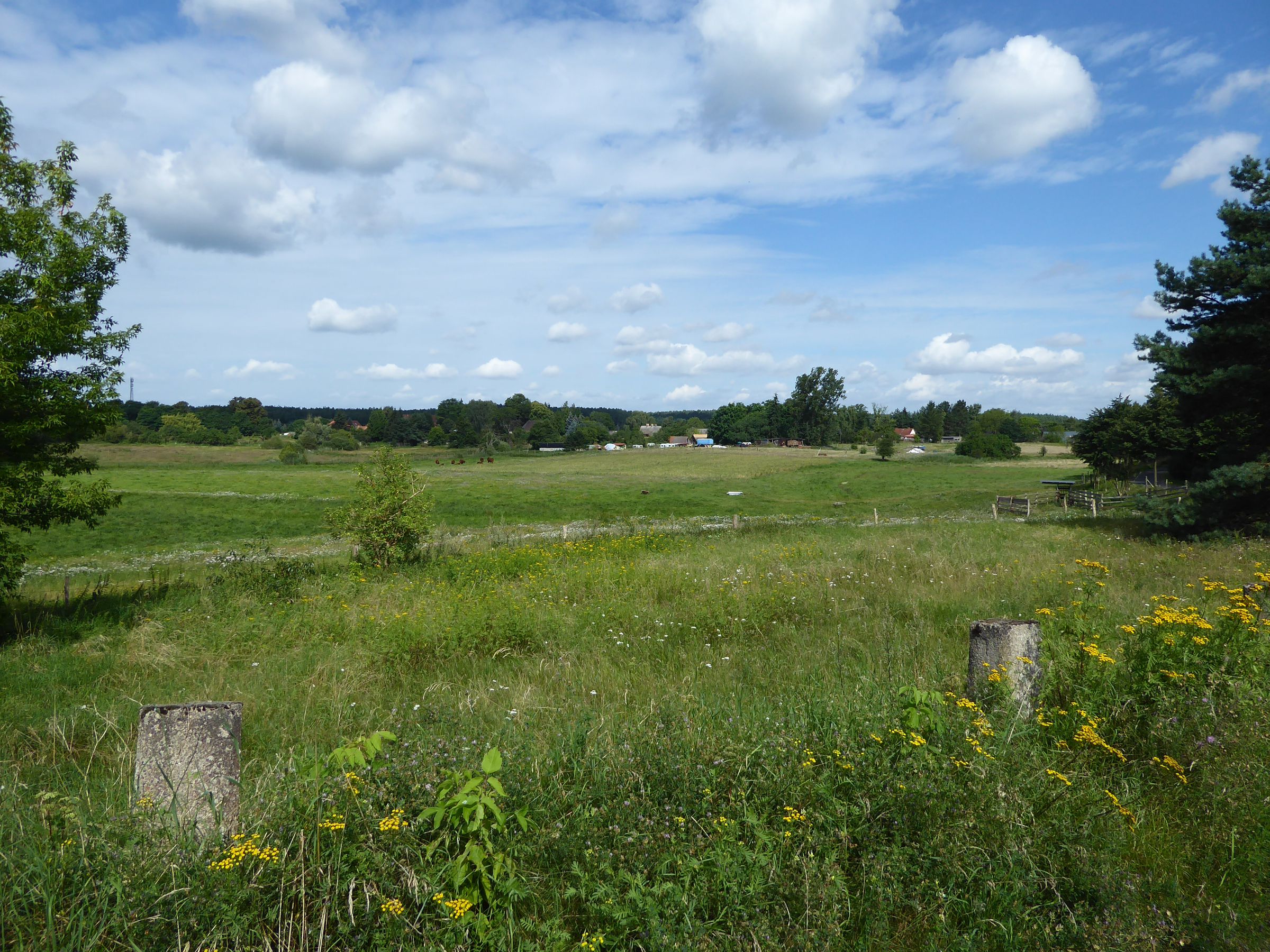 Landschaft in Mecklenburg-Vorpommern