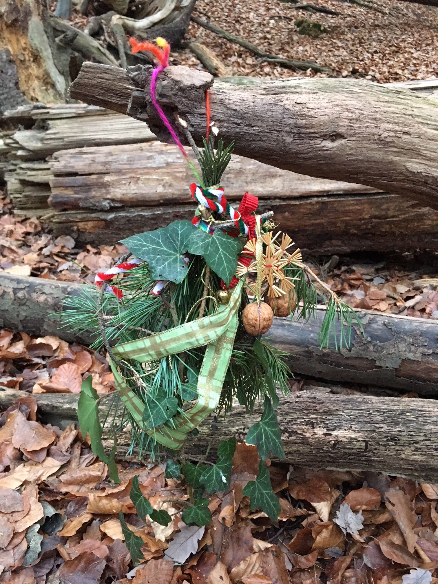 Kindergruppe Wald beim Tiergarten