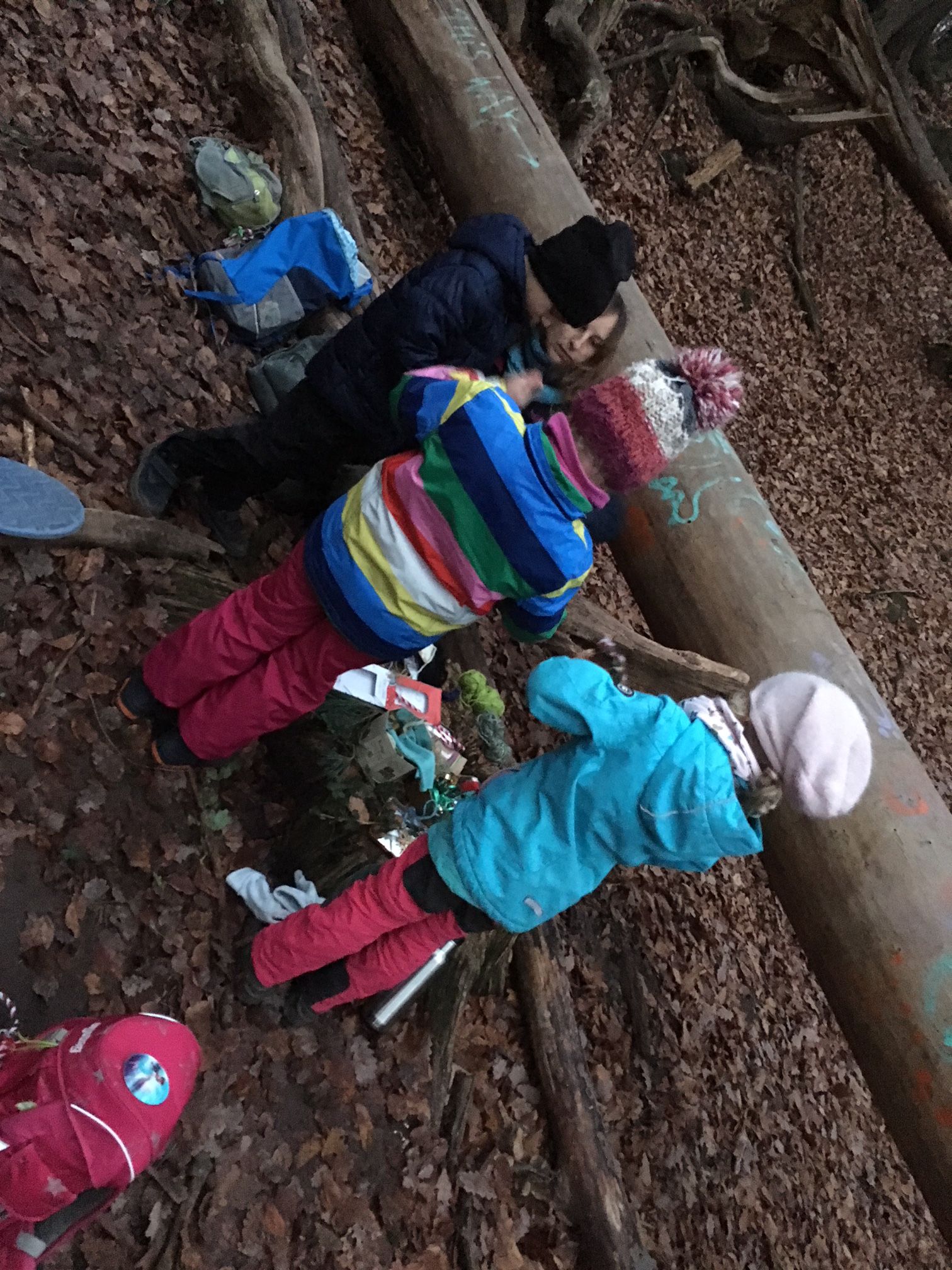 Kindergruppe Wald beim Tiergarten