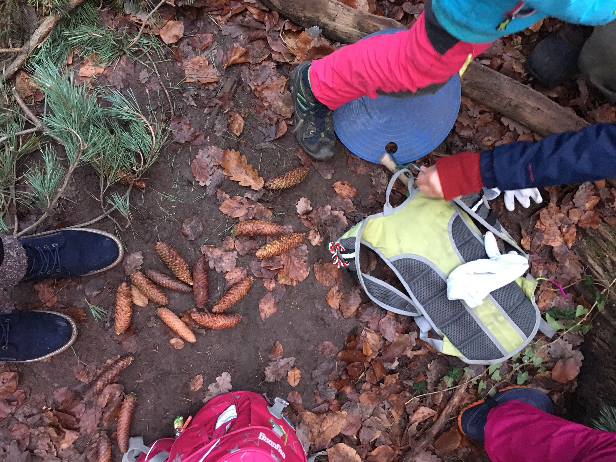 Kindergruppe Wald beim Tiergarten