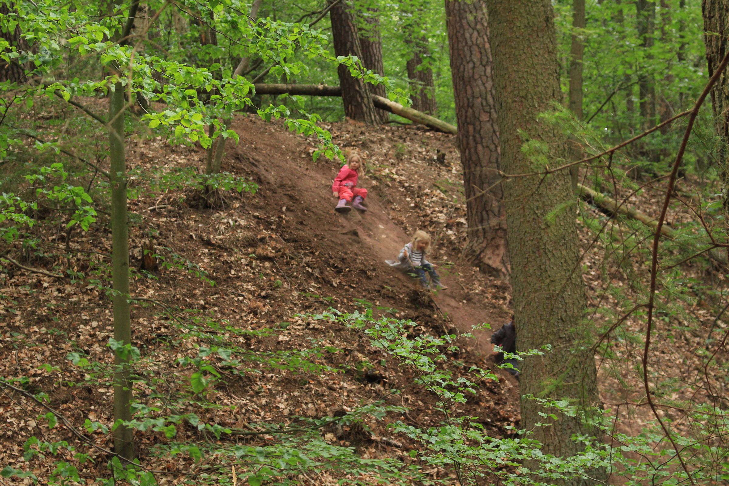 Kindergruppe Wald beim Tiergarten