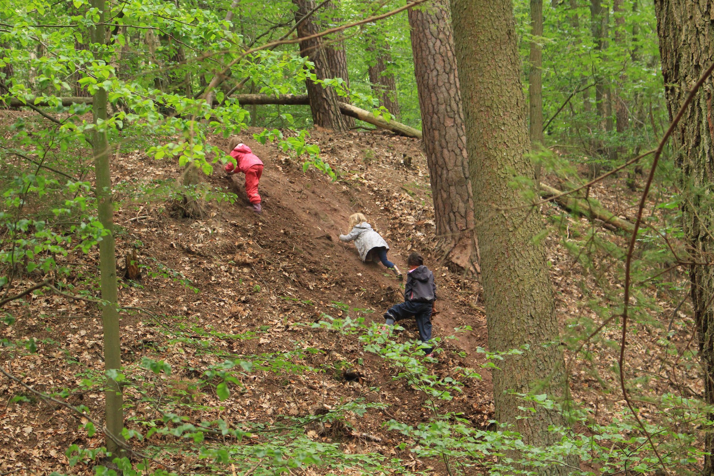 Kindergruppe Wald beim Tiergarten