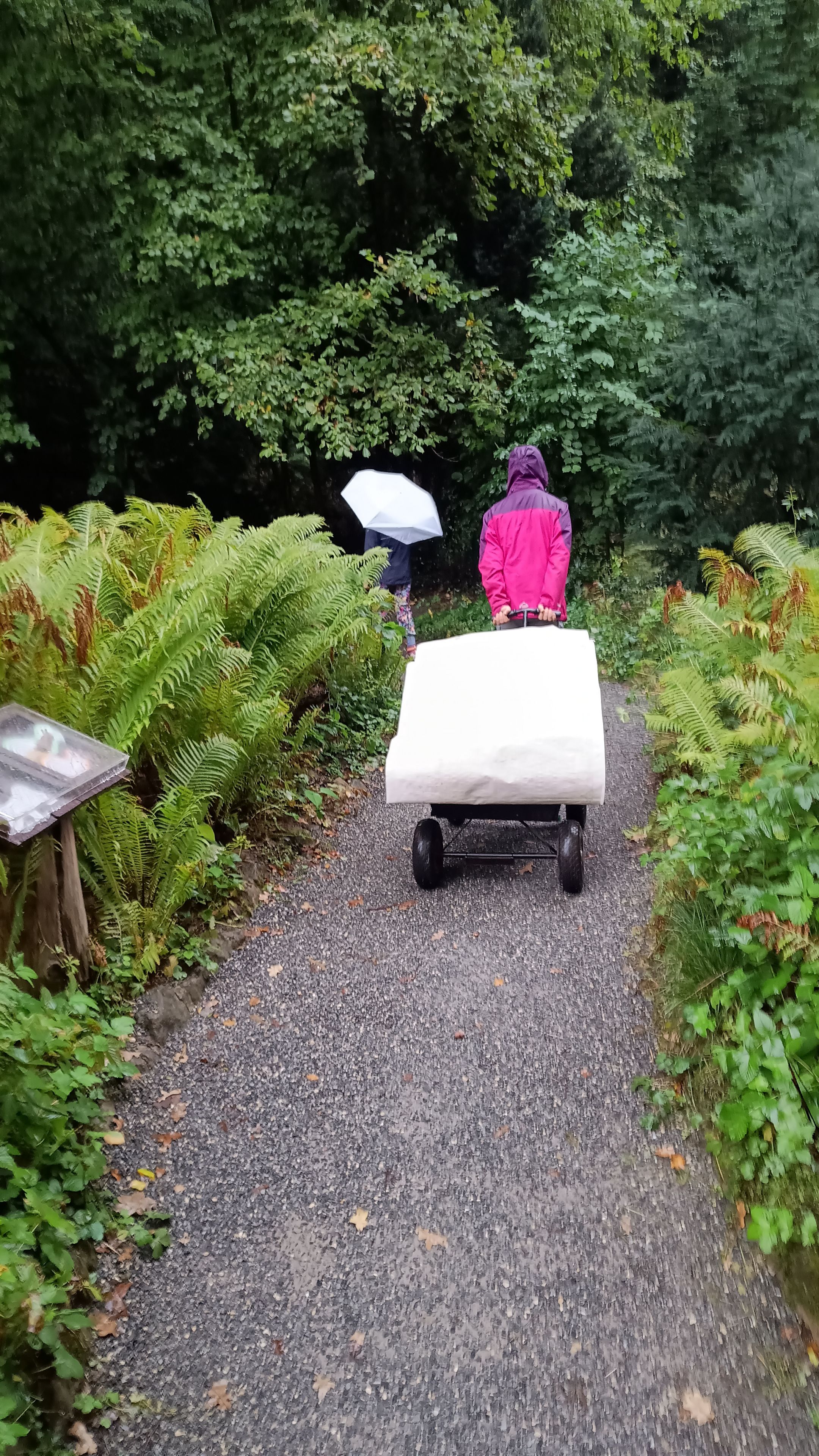 Transport des Insektenhotels