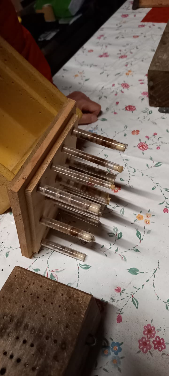 Lernkasten (Foto: Sabine Scherer) Lernkasten