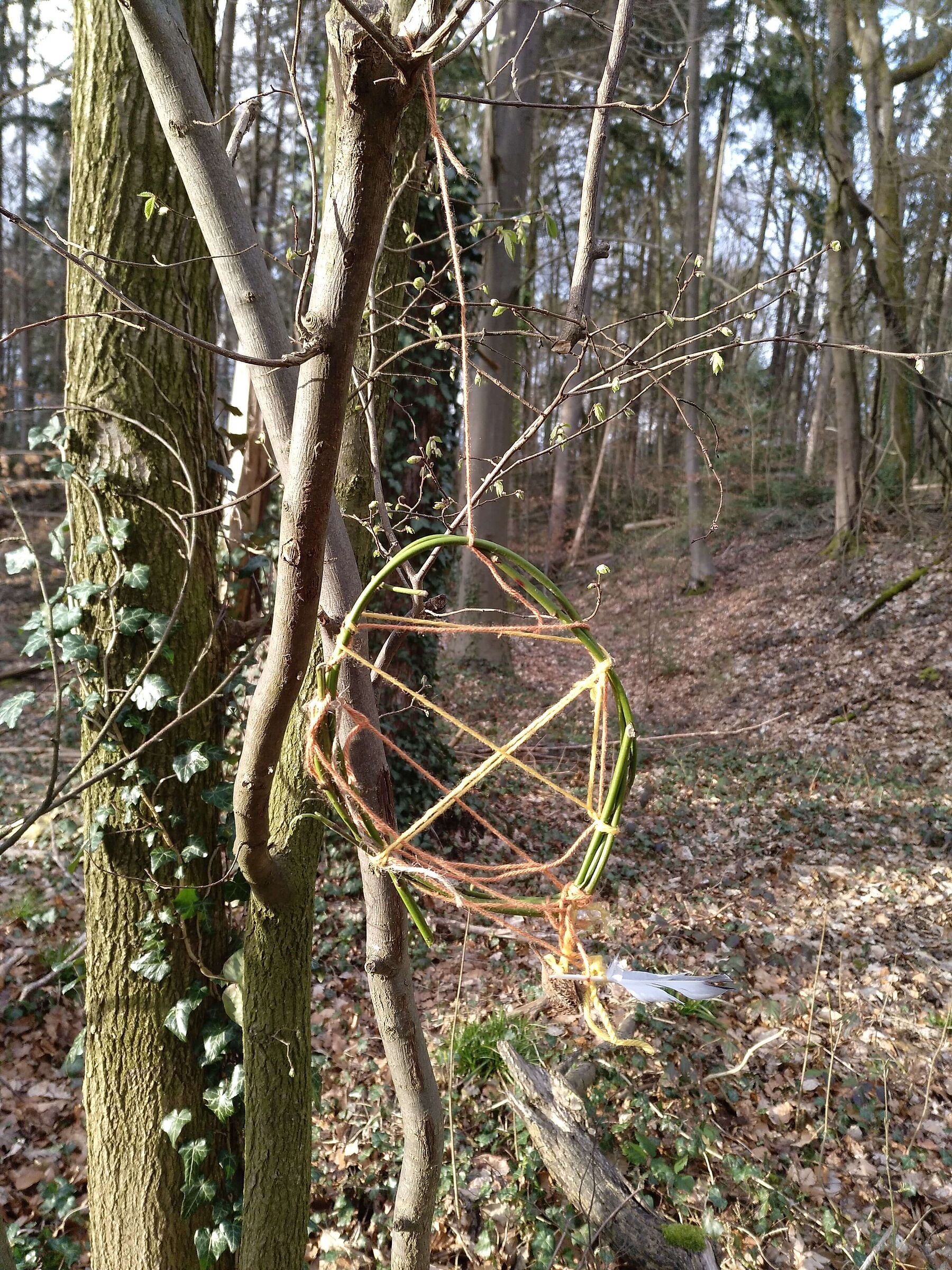 Traumfänger für Eichhörnchen