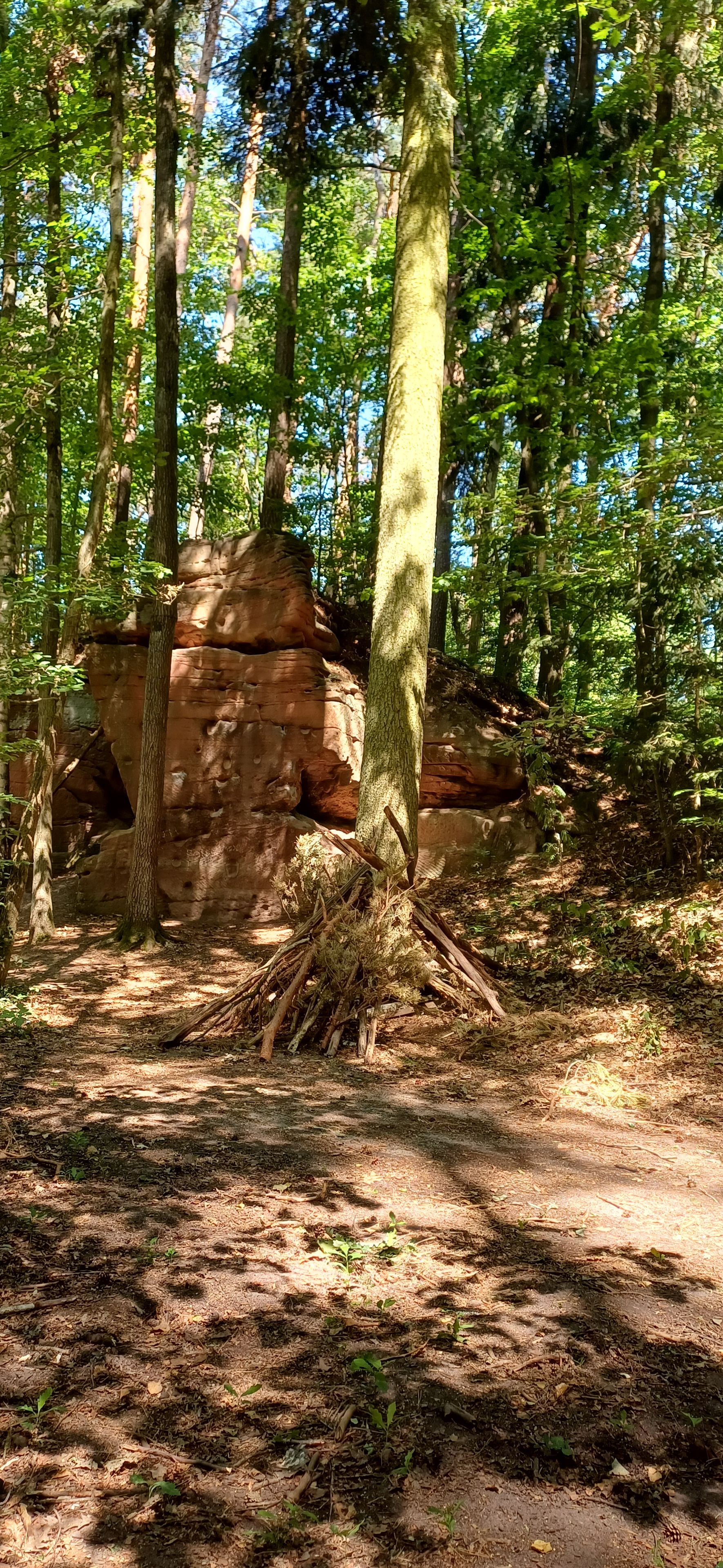 Felsen im Wald am Tiergarten Felsen im Wald am Tiergarten