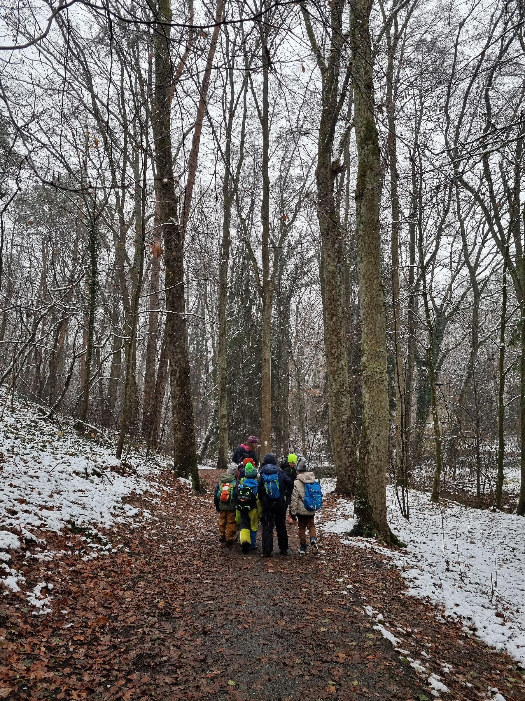 Waldentdecker im verschneiten Wald