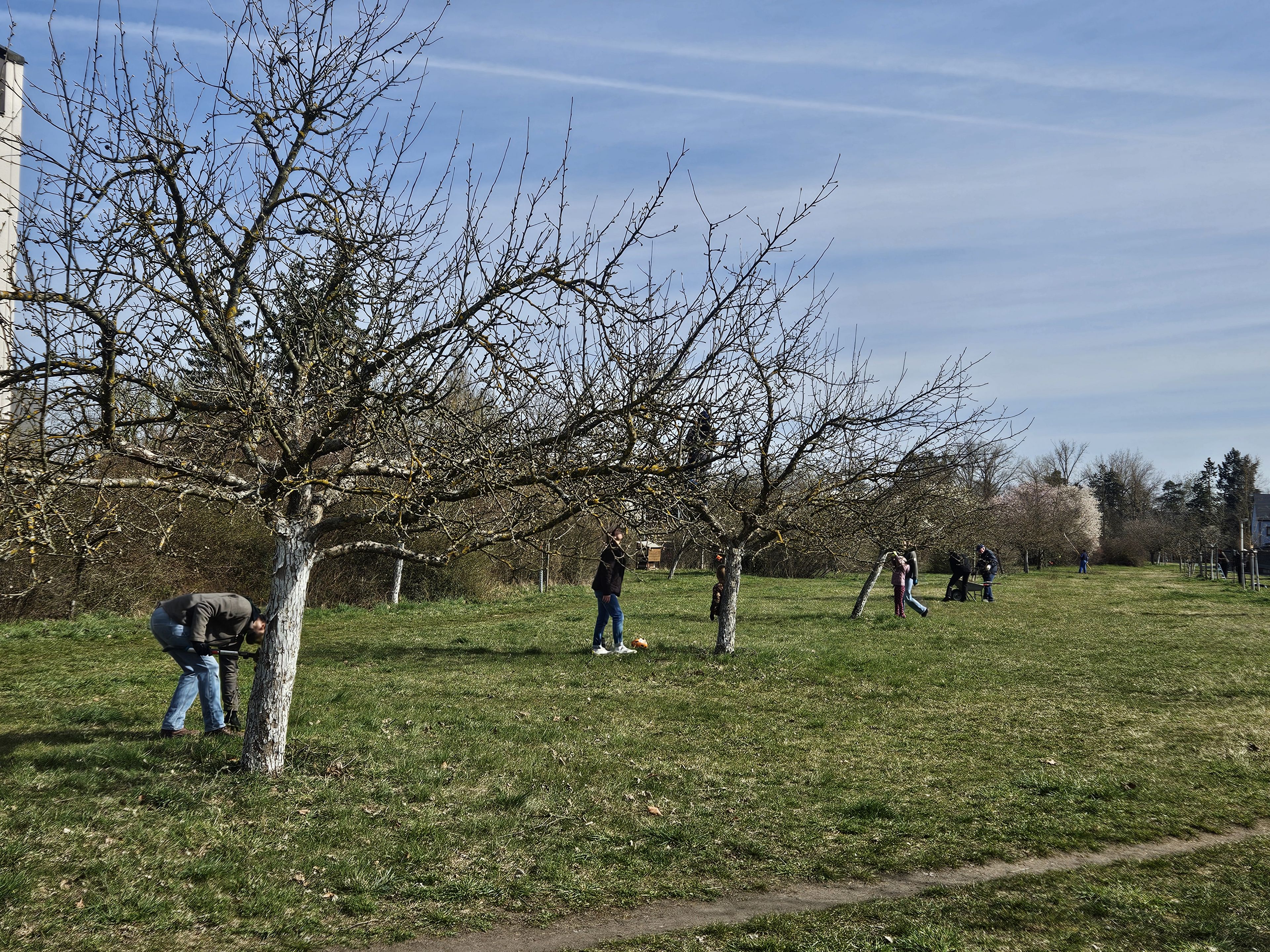Pflege der Streuobstwiese Eibach (Foto: BN) Pflege der Streuobstwiese Eibach