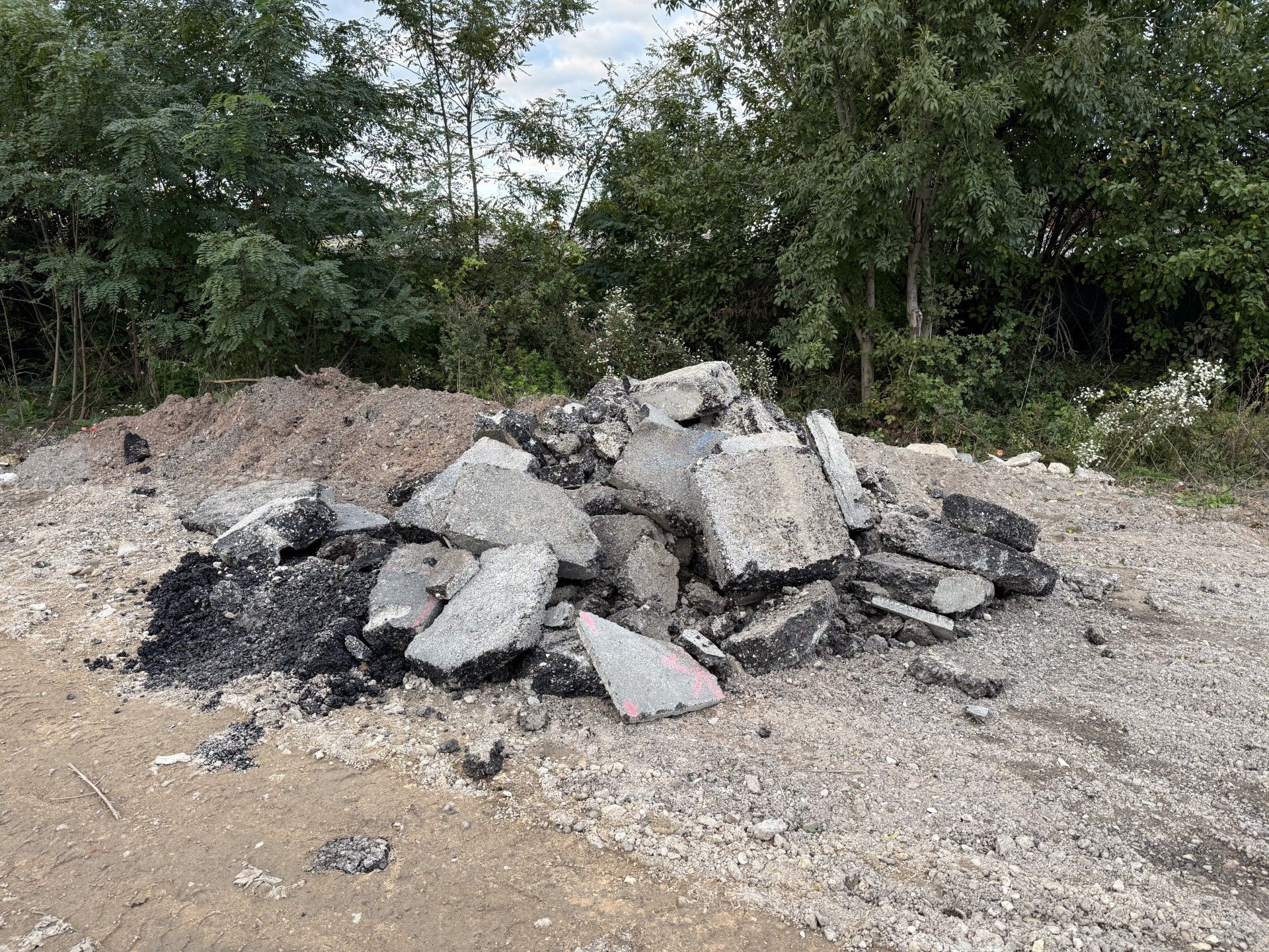 Asphaltreste
