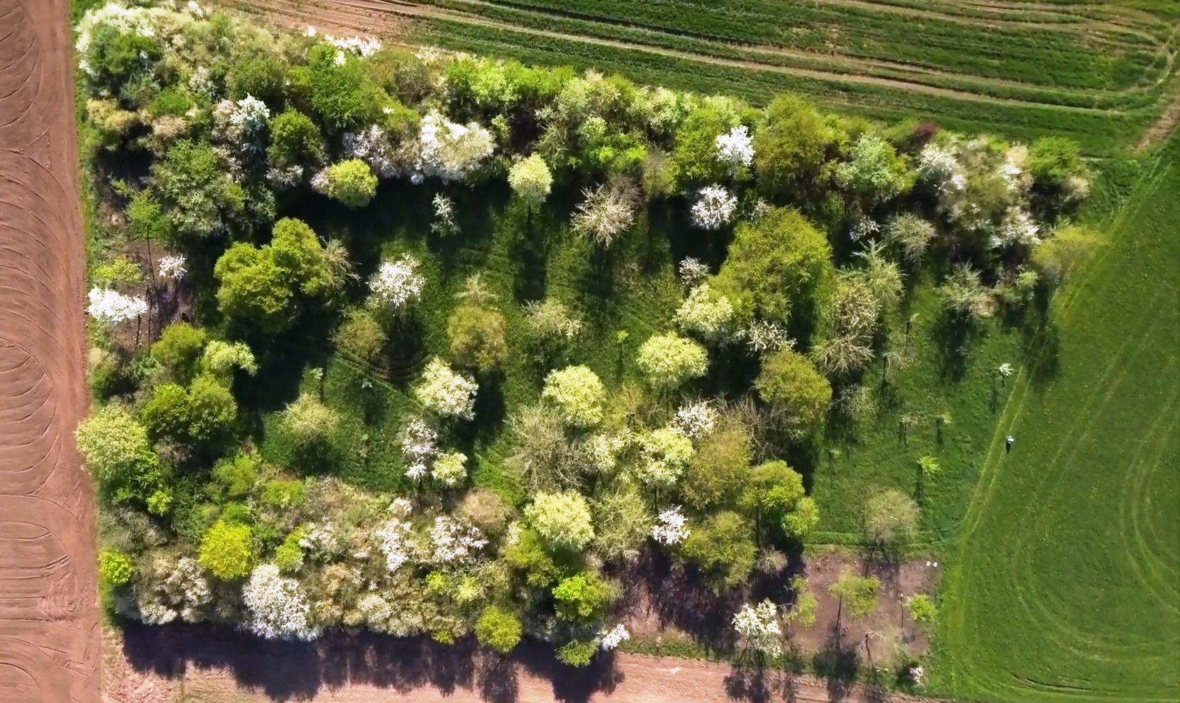 Biotop Kleingründlach (Foto: Fabian Bläse) Biotop Kleingründlach