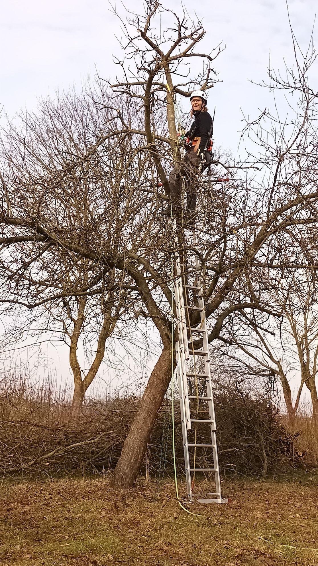 Anja im Apfelbaum