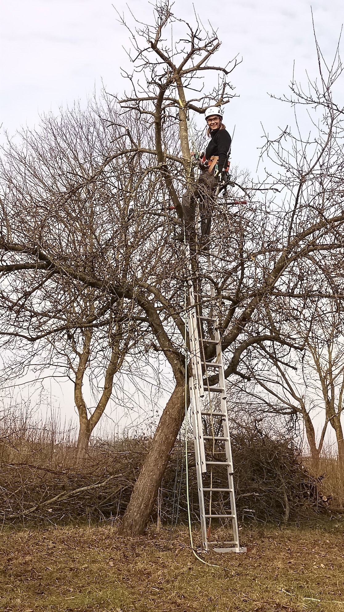 Anja im Apfelbaum