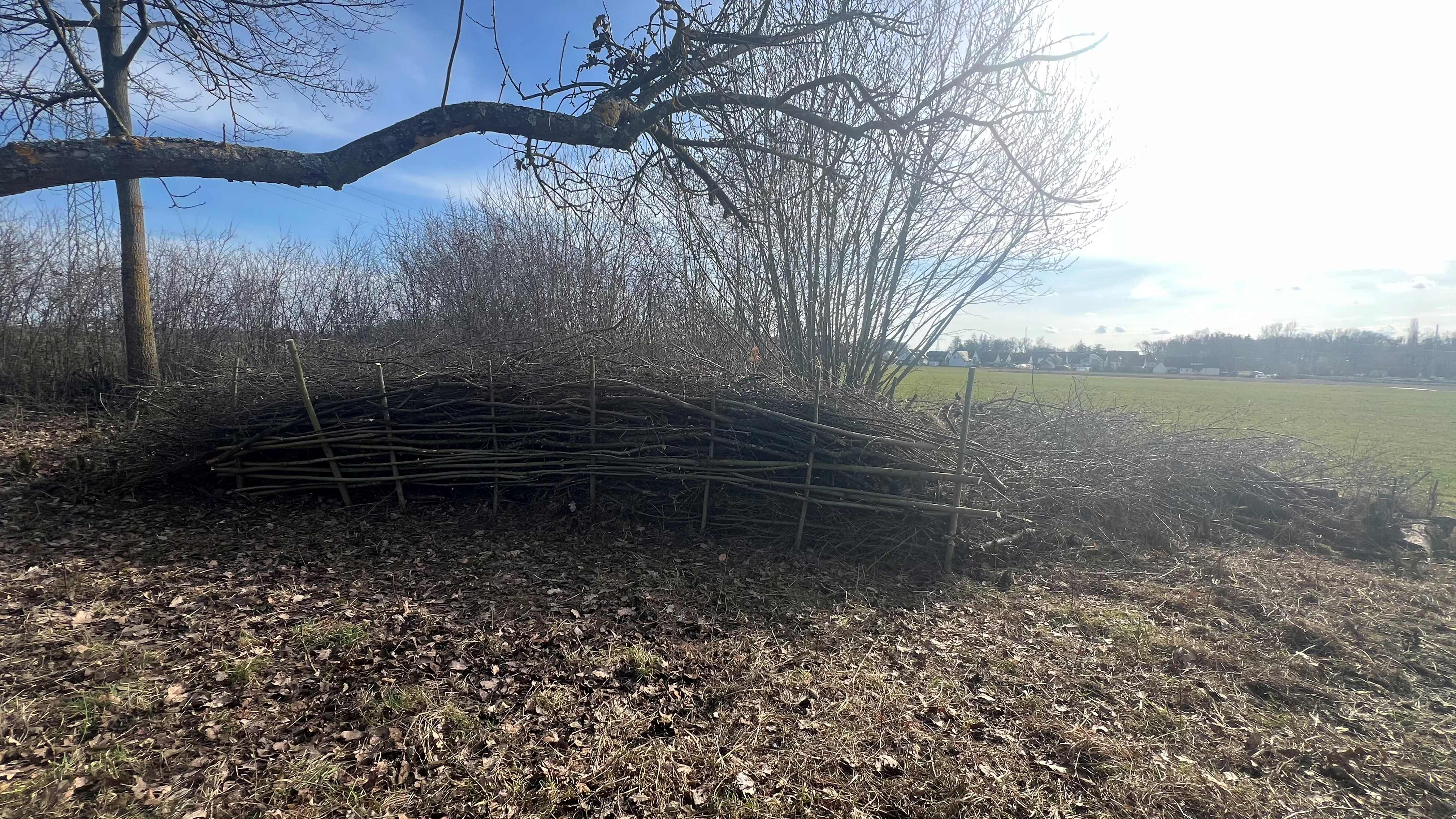 Totholzhecke neben dem Apfelbaum