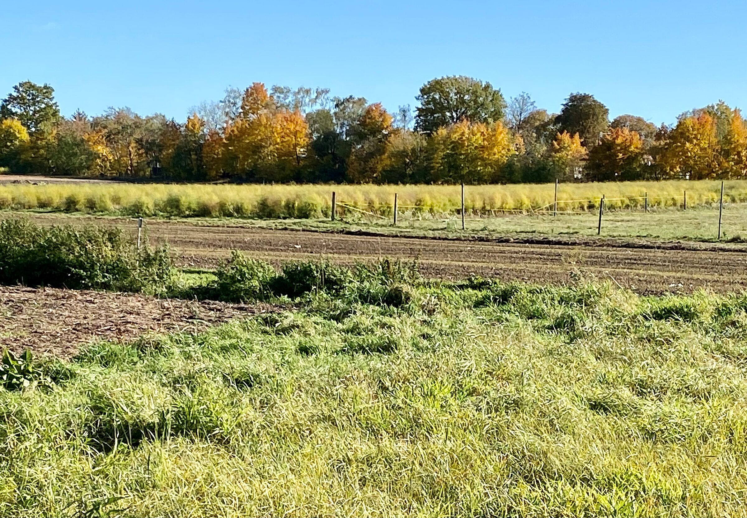 Landschaft bei Wetzendorf