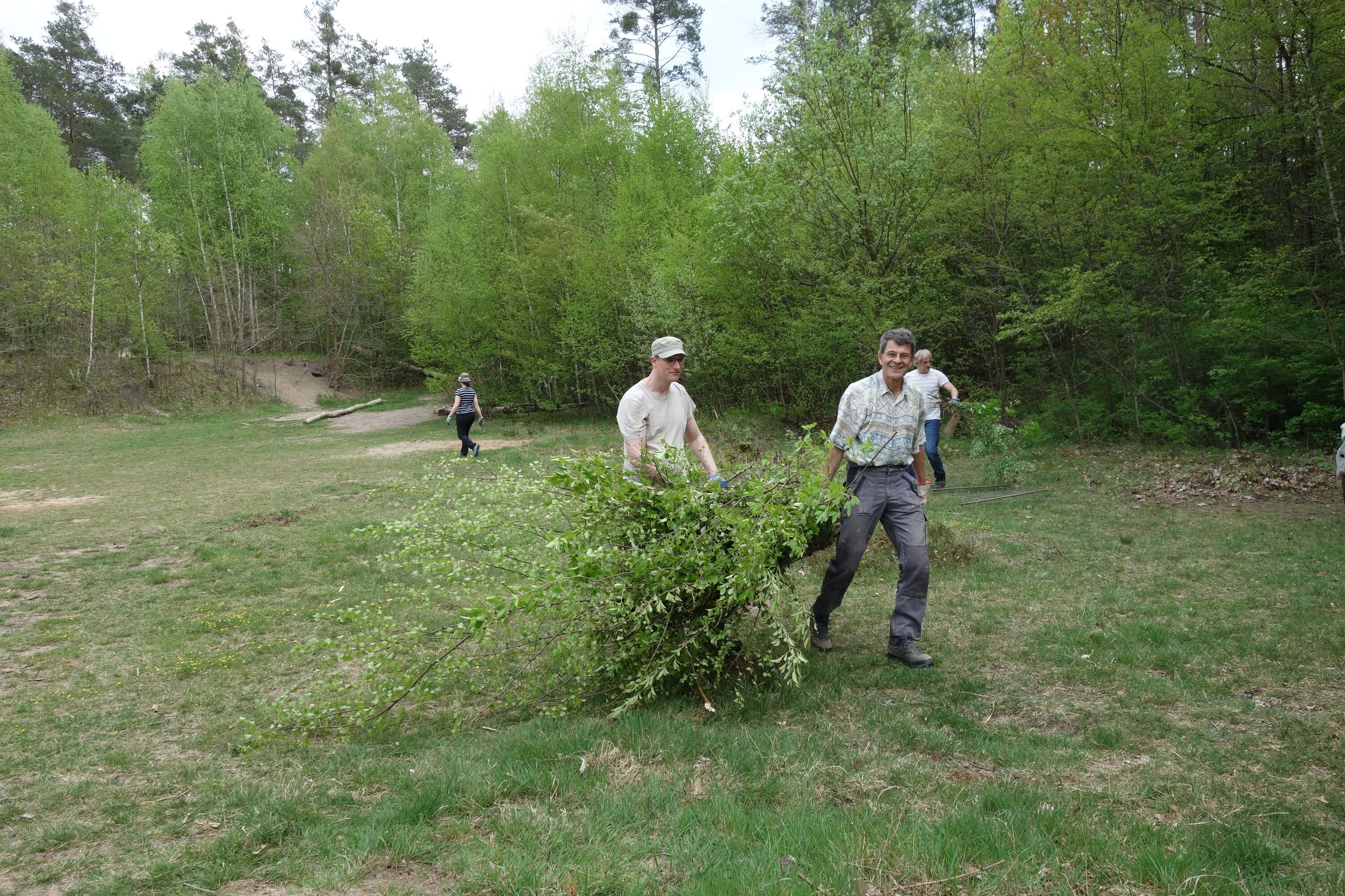 Abtransport des Schnittguts 