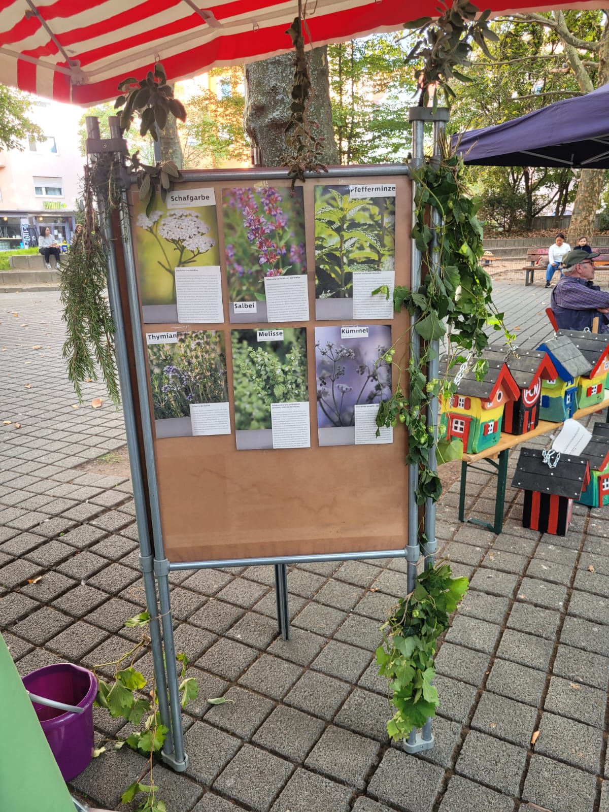 Infotafel über Kräuter