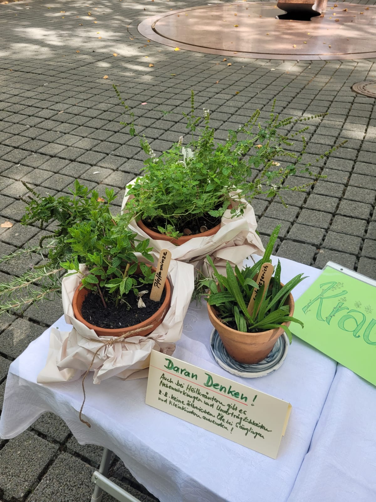 Kräuter in Töpfen