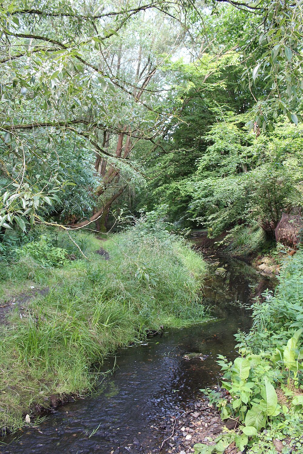 Goldbach am Metthingweiher