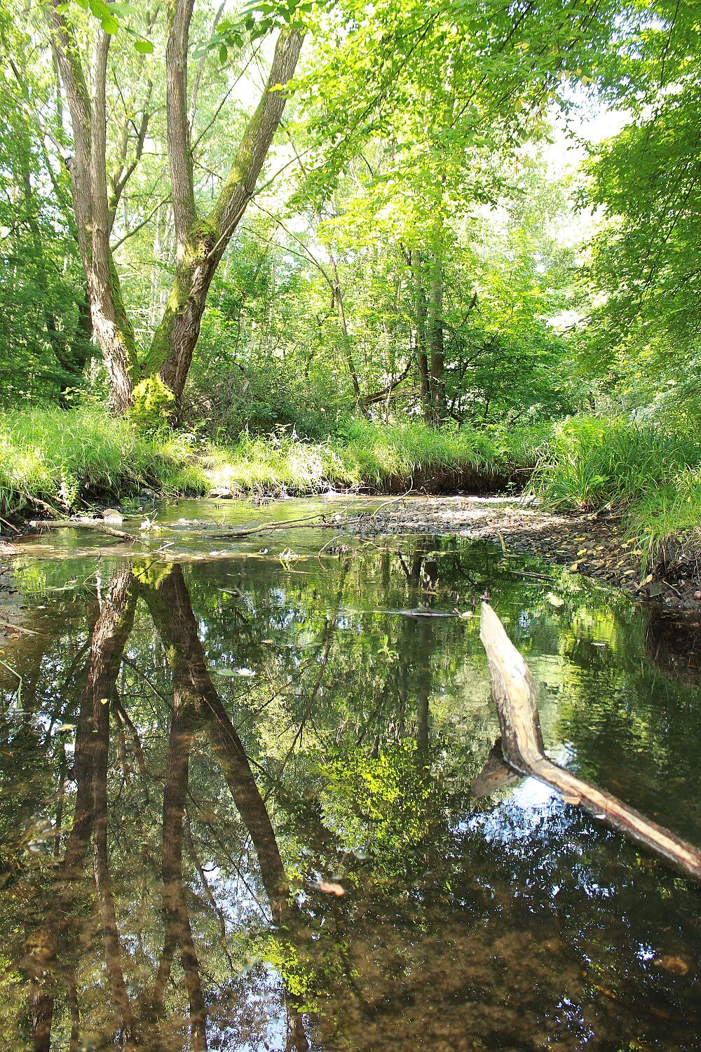 Goldbach am Metthingweiher